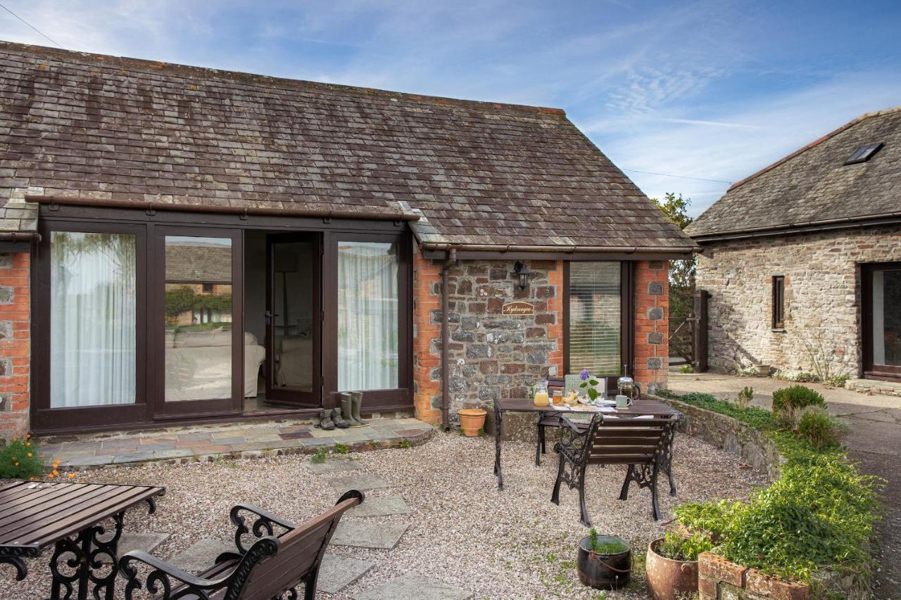 Downe Cottages Hartland Bagian luar foto