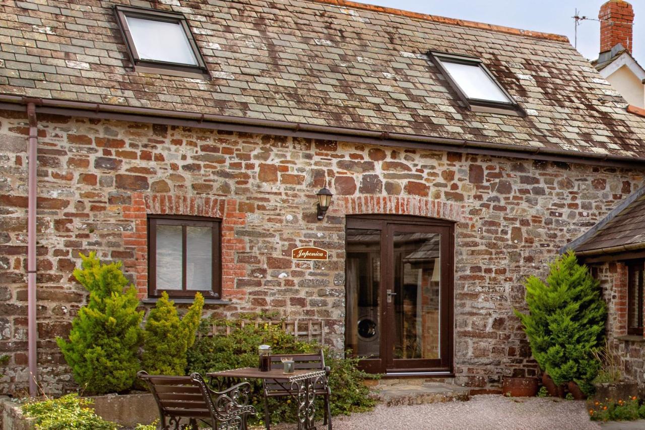 Downe Cottages Hartland Bagian luar foto